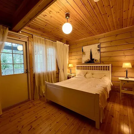 Onegin Talo Villa Falkberg